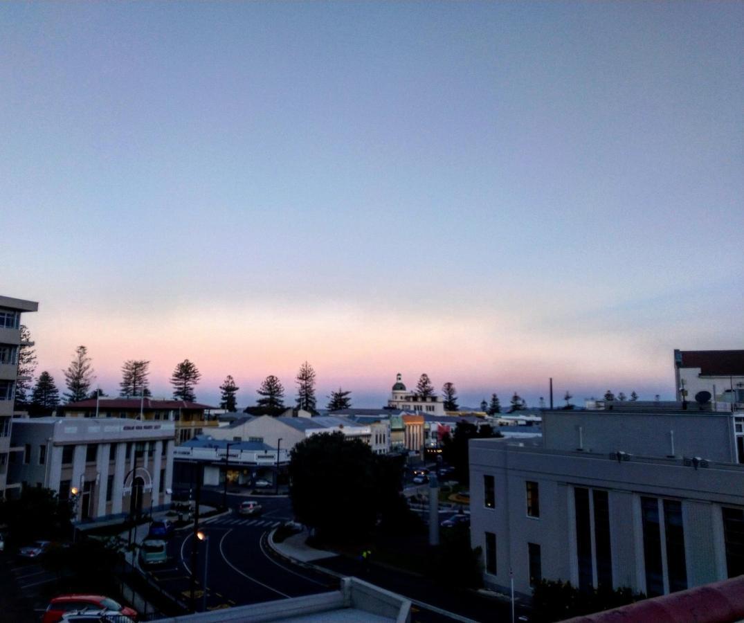 Crashpalace Backpackers Napier Eksteriør billede